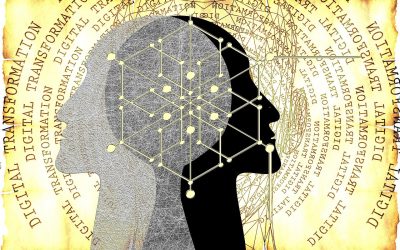 Why Data Transformation Matters in AI and ALCHIMIA